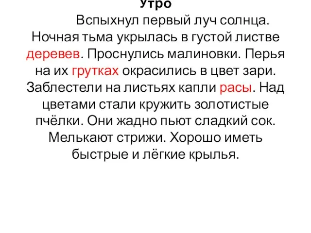 Утро Вспыхнул первый луч солнца. Ночная тьма укрылась в густой листве