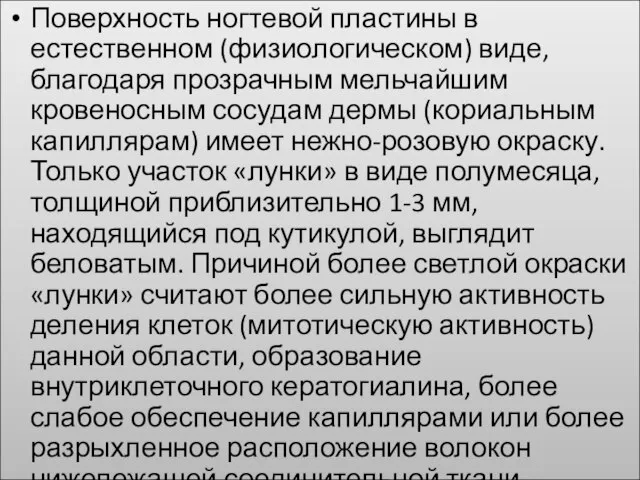 Поверхность ногтевой пластины в естественном (физиологическом) виде, благодаря прозрачным мельчайшим кровеносным