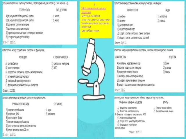 5. Жизненный цикл клетки митоз, мейоз клетка, её строение химический состав клетки метаболизм