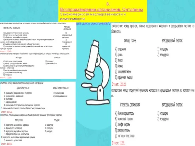 8. Воспроизведение организмов. Онтогенез Закономерности наследственности и изменчивости Жизненный цикл растений/Зародышевые листки