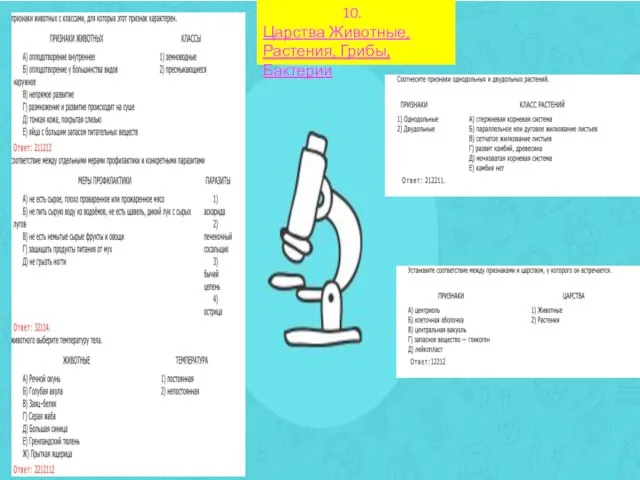 10. Царства Животные, Растения, Грибы, Бактерии