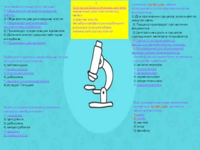 4. Клетка как биологическая система жизненный цикл клетки митоз, мейоз строение