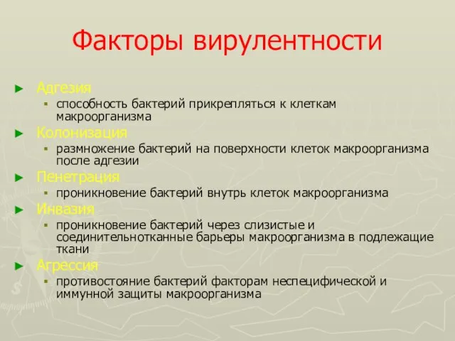 Факторы вирулентности Адгезия способность бактерий прикрепляться к клеткам макроорганизма Колонизация размножение