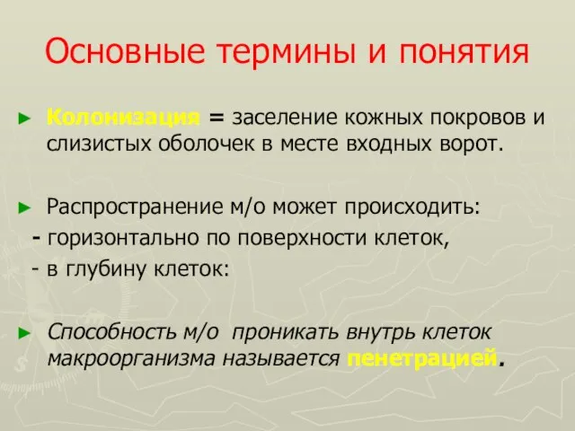 Основные термины и понятия Колонизация = заселение кожных покровов и слизистых