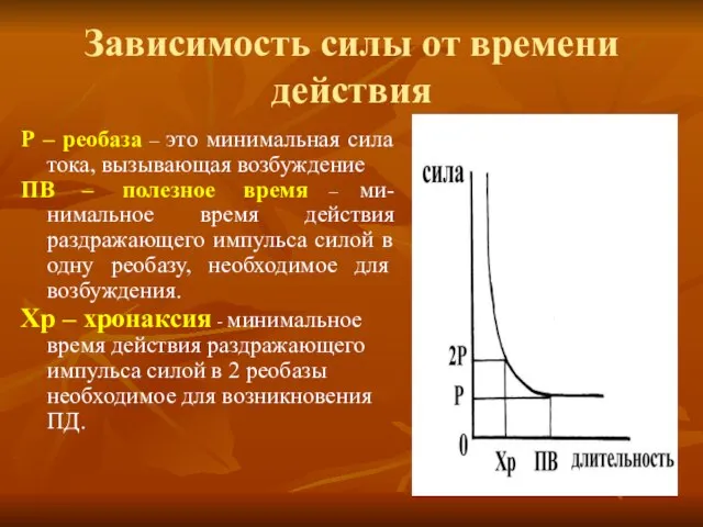 Зависимость силы от времени действия Р – реобаза – это минимальная