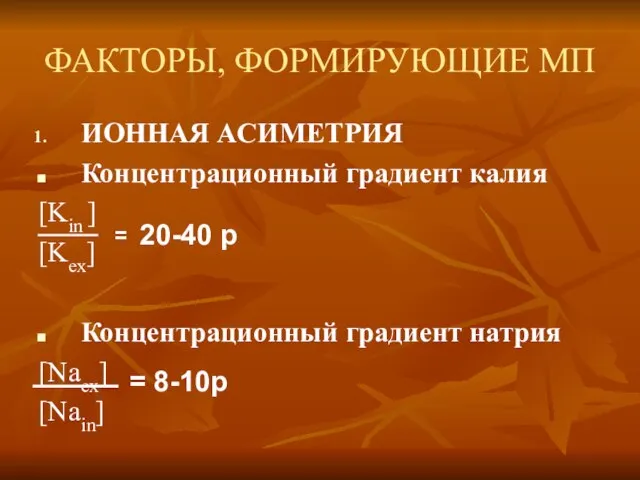 ФАКТОРЫ, ФОРМИРУЮЩИЕ МП ИОННАЯ АСИМЕТРИЯ Концентрационный градиент калия [Kin ] [Kex]