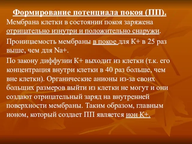 Формирование потенциала покоя (ПП). Мембрана клетки в состоянии покоя заряжена отрицательно