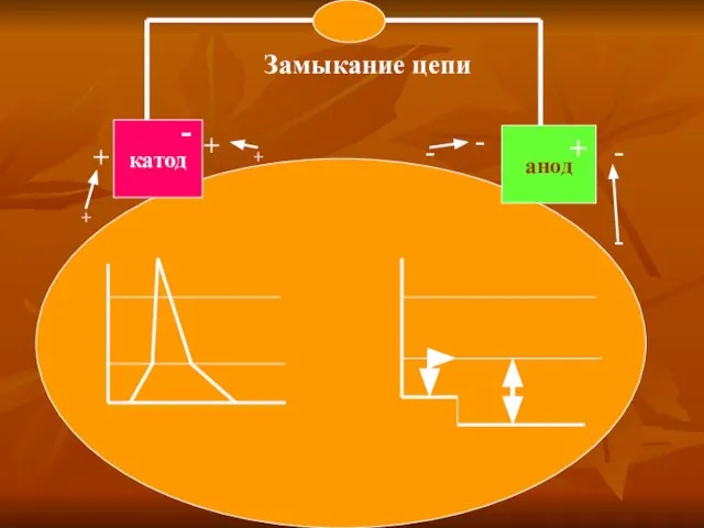 катод - анод + + + - - Замыкание цепи + + - -