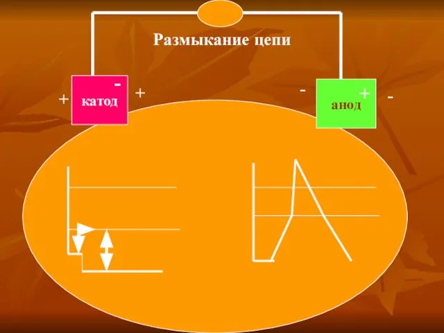 катод - анод + + + - - Размыкание цепи