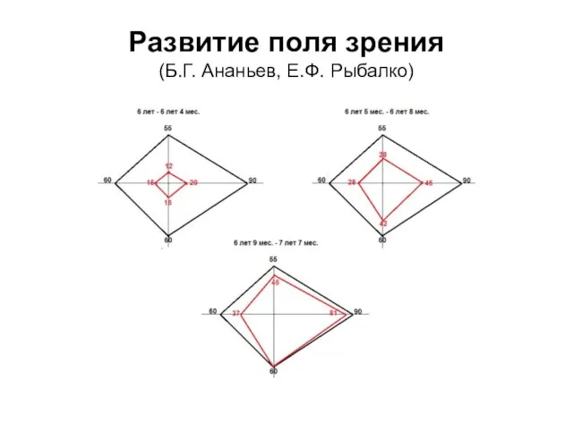 Развитие поля зрения (Б.Г. Ананьев, Е.Ф. Рыбалко)