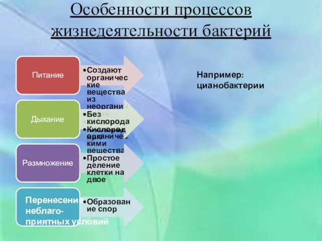 Особенности процессов жизнедеятельности бактерий Питание Создают органические вещества из неорганических Питаются