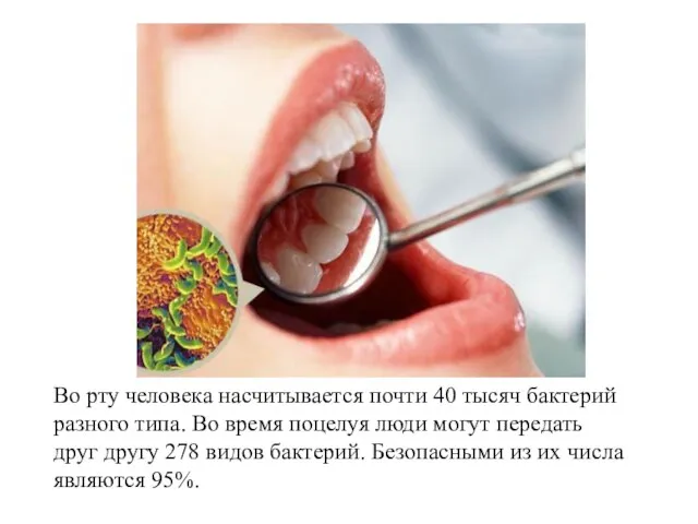 Во рту человека насчитывается почти 40 тысяч бактерий разного типа. Во