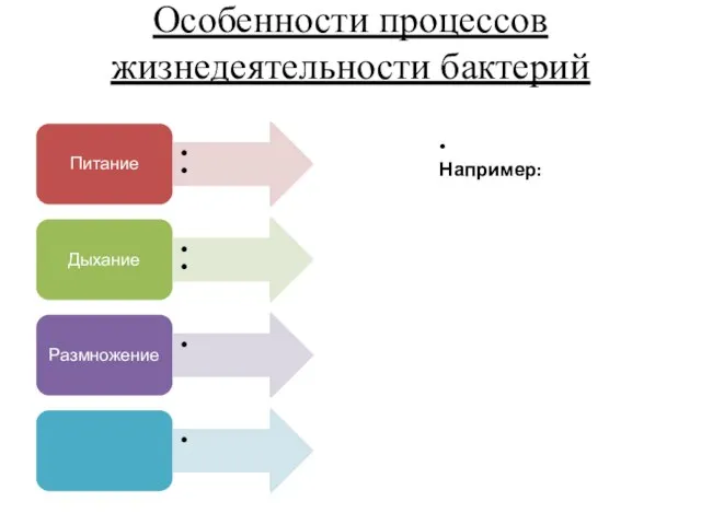 Особенности процессов жизнедеятельности бактерий Питание Дыхание Размножение • Например: