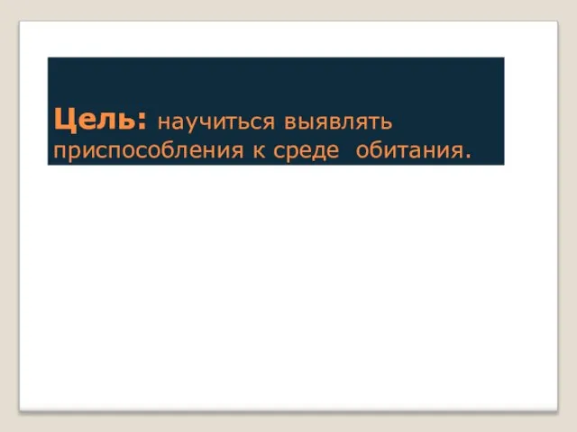 Цель: научиться выявлять приспособления к среде обитания.