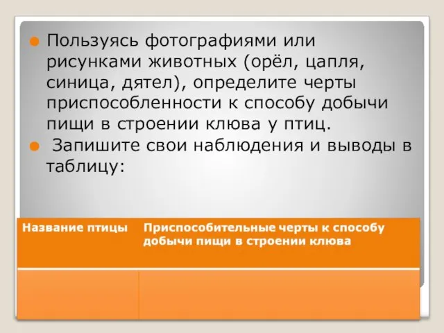 Приспособленность птиц Пользуясь фотографиями или рисунками животных (орёл, цапля, синица, дятел),