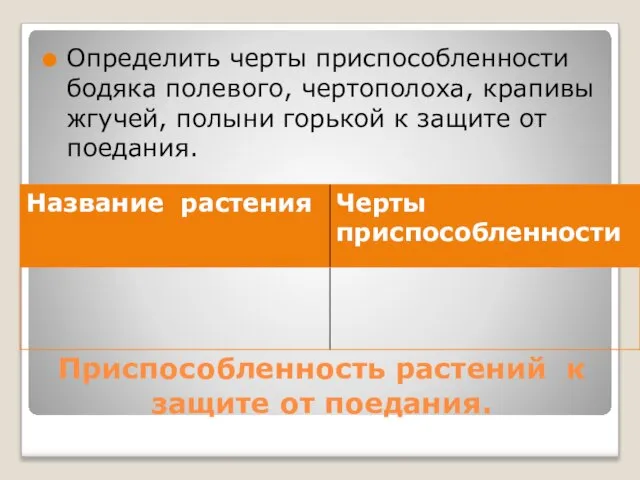 Приспособленность растений к защите от поедания. Определить черты приспособленности бодяка полевого,