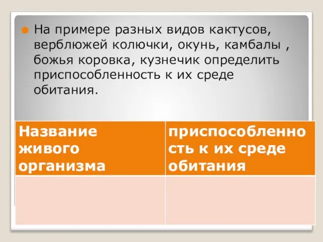 приспособленность к среде обитания На примере разных видов кактусов, верблюжей колючки,