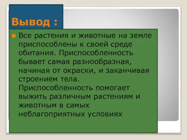 Вывод : Все растения и животные на земле приспособлены к своей