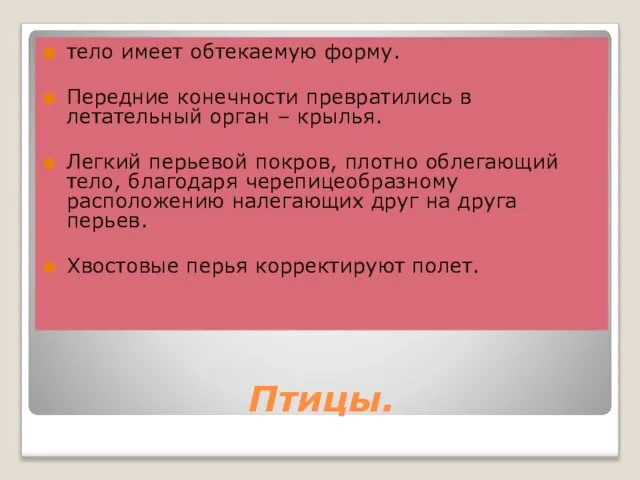 Птицы. тело имеет обтекаемую форму. Передние конечности превратились в летательный орган