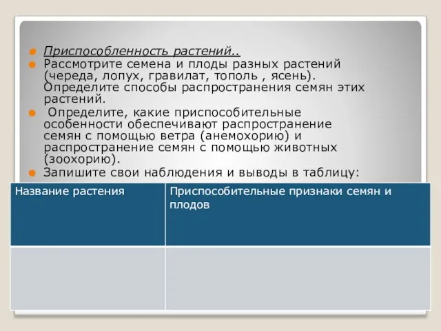 Ход работы. Приспособленность растений.. Рассмотрите семена и плоды разных растений (череда,