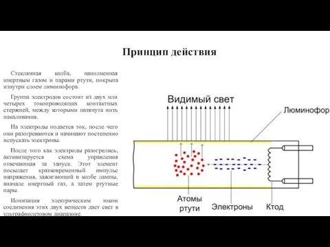 Принцип действия Стеклянная колба, наполненная инертным газом и парами ртути, покрыта