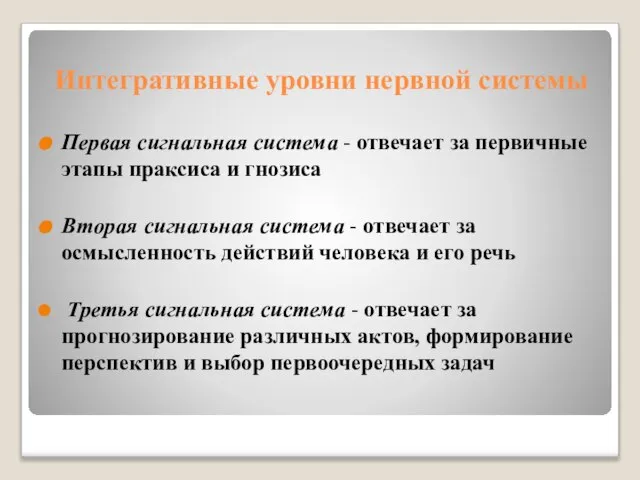 Интегративные уровни нервной системы Первая сигнальная система - отвечает за первичные