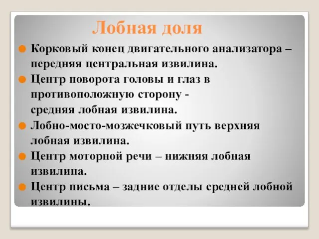 Лобная доля Корковый конец двигательного анализатора – передняя центральная извилина. Центр