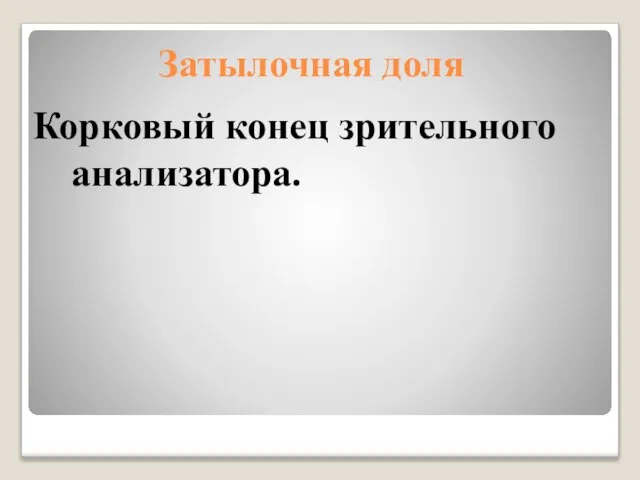 Затылочная доля Корковый конец зрительного анализатора.