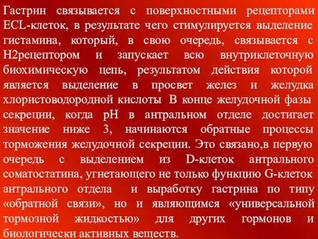 Гастрин связывается с поверхностными рецепторами ЕСL-клеток, в результате чего стимулируется выделение