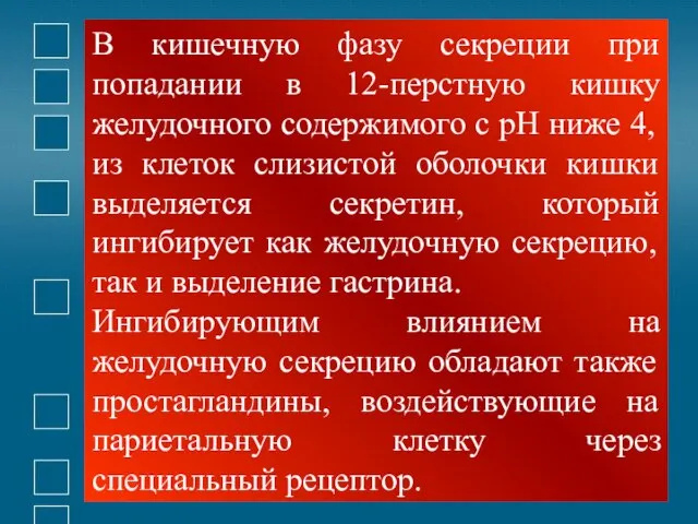 В кишечную фазу секреции при попадании в 12-перстную кишку желудочного содержимого