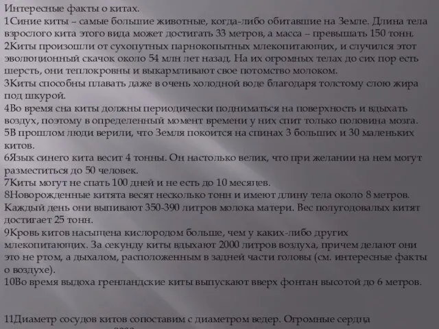 Интересные факты о китах. 1Синие киты – самые большие животные, когда-либо