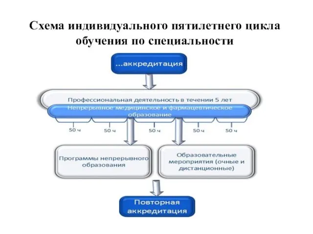 Схема индивидуального пятилетнего цикла обучения по специальности