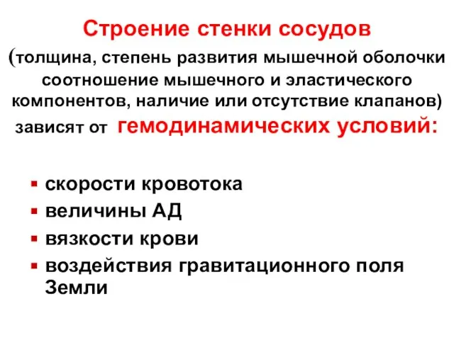 Строение стенки сосудов (толщина, степень развития мышечной оболочки соотношение мышечного и