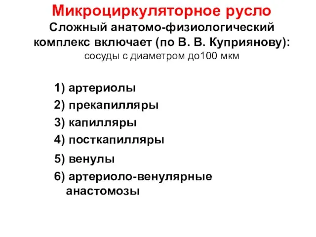 Микроциркуляторное русло Сложный анатомо-физиологический комплекс включает (по В. В. Куприянову): сосуды