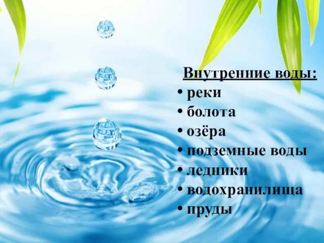 Внутренние воды: реки болота озёра подземные воды ледники водохранилища пруды