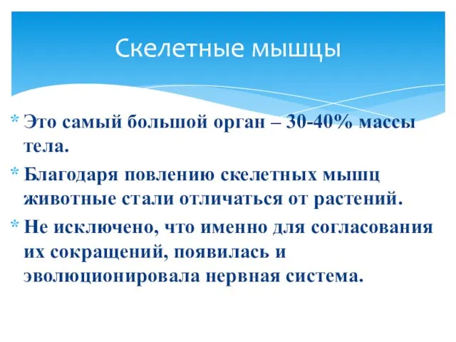 Это самый большой орган – 30-40% массы тела. Благодаря повлению скелетных