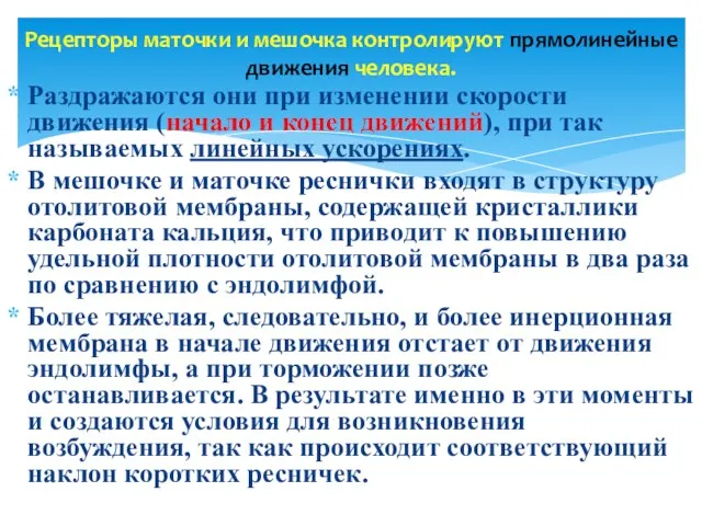 Раздражаются они при изменении скорости движения (начало и конец движений), при