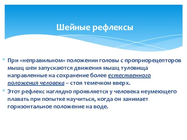 При «неправильном» положении головы с проприорецепторов мышц шеи запускаются движения мышц