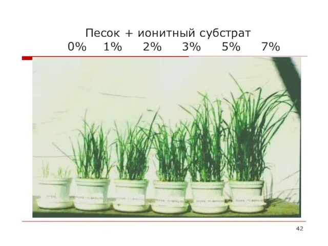 Песок + ионитный субстрат 0% 1% 2% 3% 5% 7%