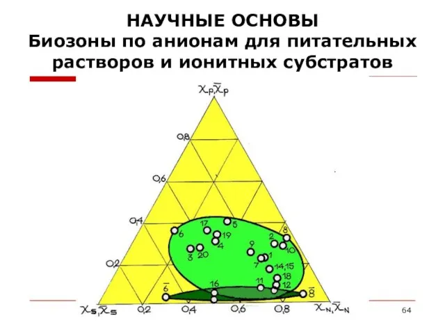 НАУЧНЫЕ ОСНОВЫ Биозоны по анионам для питательных растворов и ионитных субстратов