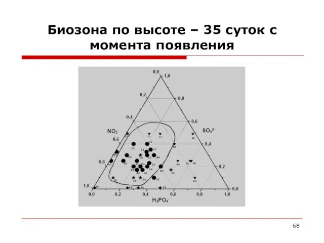 Биозона по высоте – 35 суток с момента появления