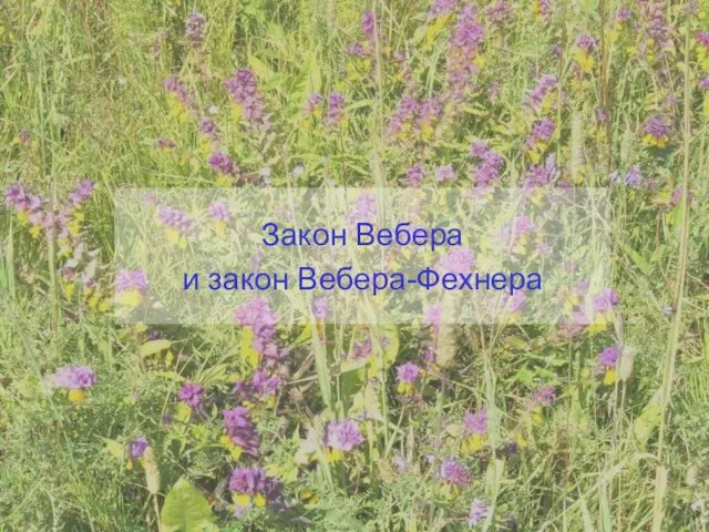 Закон Вебера и закон Вебера-Фехнера