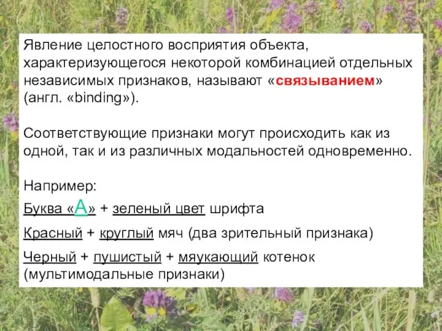 Явление целостного восприятия объекта, характеризующегося некоторой комбинацией отдельных независимых признаков, называют