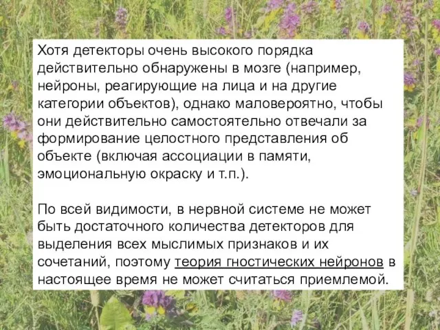 Хотя детекторы очень высокого порядка действительно обнаружены в мозге (например, нейроны,