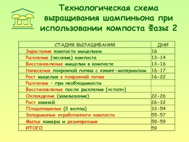 Технологическая схема выращивания шампиньона при использовании компоста Фазы 2