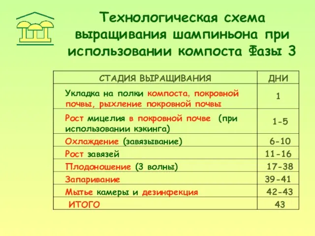 Технологическая схема выращивания шампиньона при использовании компоста Фазы 3