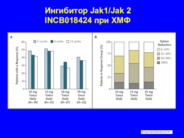 Ингибитор Jak1/Jak 2 INCB018424 при ХМФ