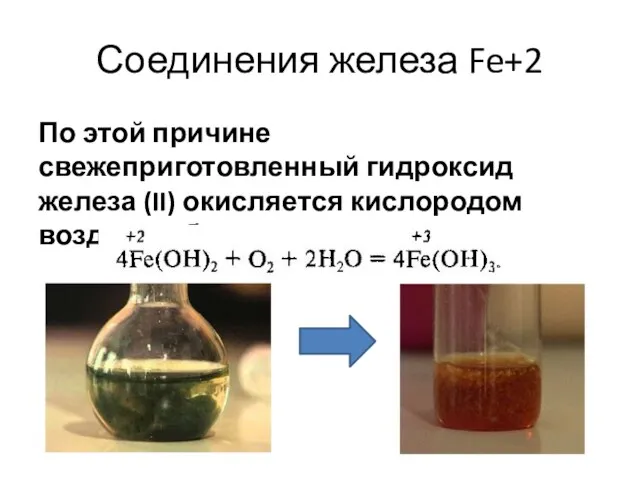 Соединения железа Fe+2 По этой причине свежеприготовленный гидроксид железа (II) окисляется кислородом воздуха и буреет.