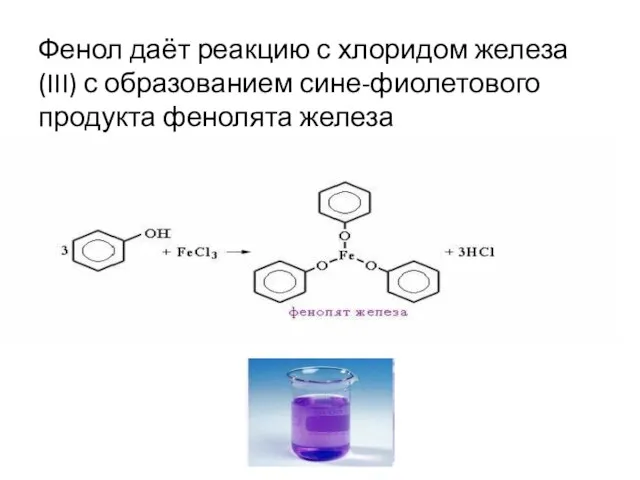 Фенол даёт реакцию с хлоридом железа (III) с образованием сине-фиолетового продукта фенолята железа