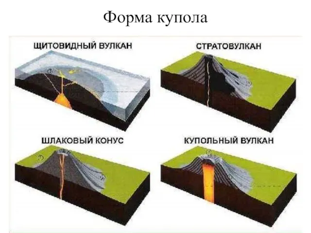 Форма купола